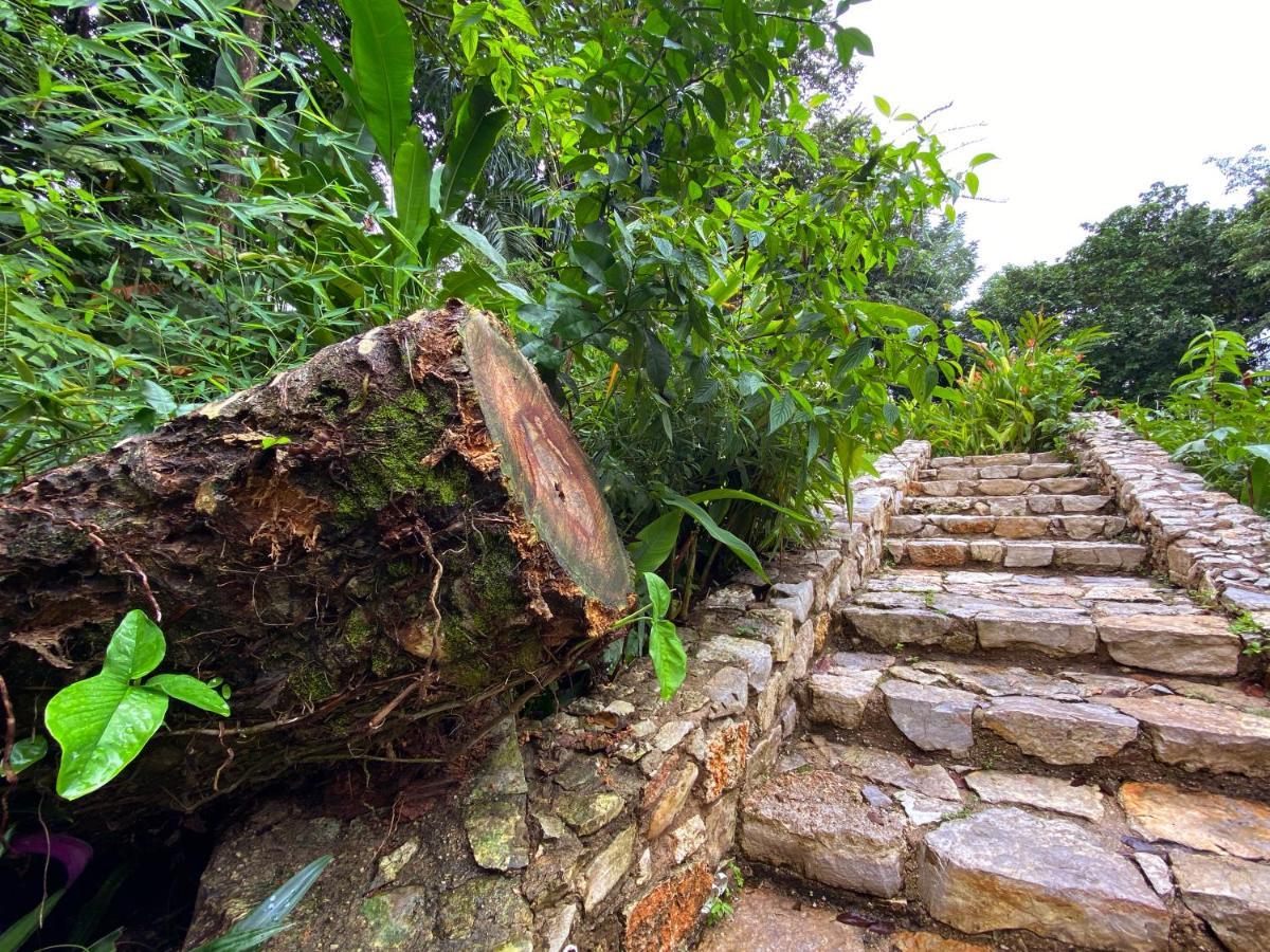 Hotel La Aldea del Halach Huinic Palenque Esterno foto