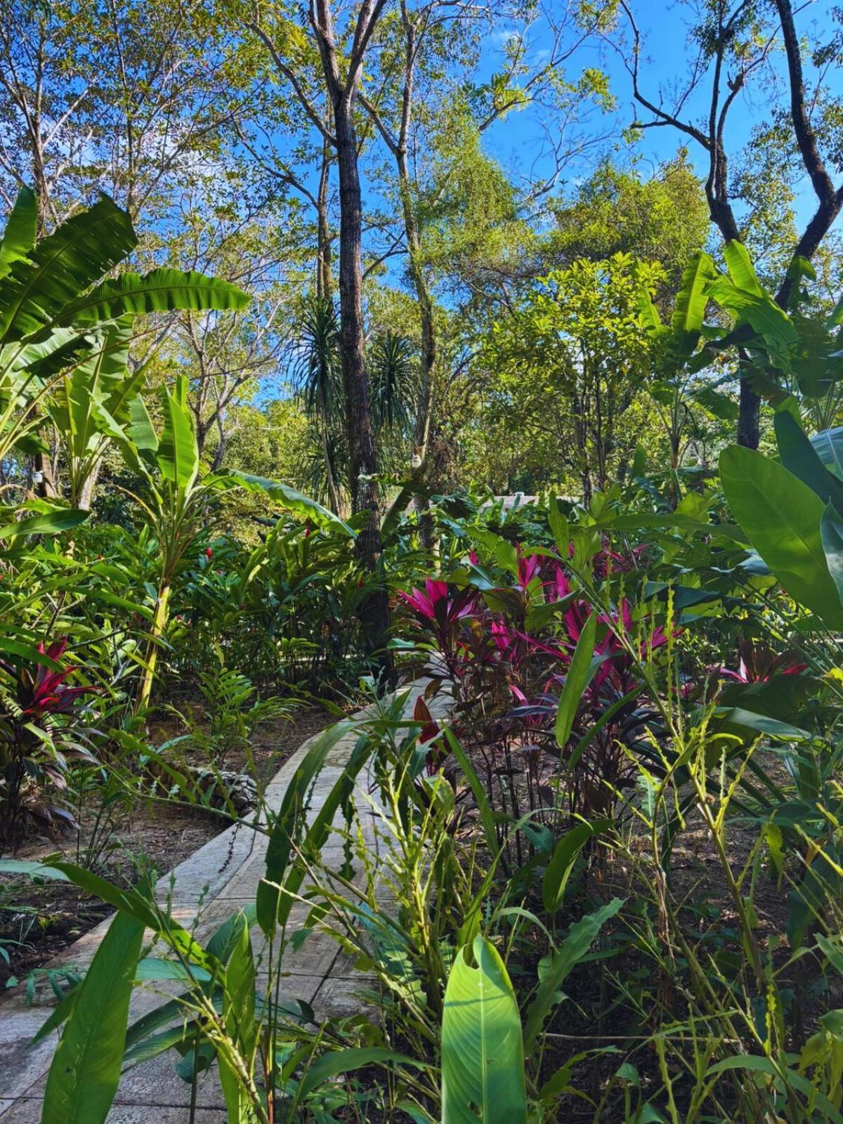 Hotel La Aldea del Halach Huinic Palenque Esterno foto